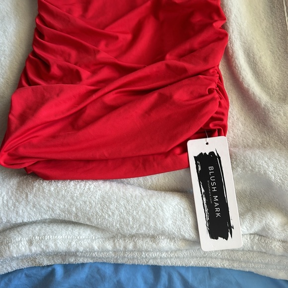 Blushmark Dress - Picture 2 of 4